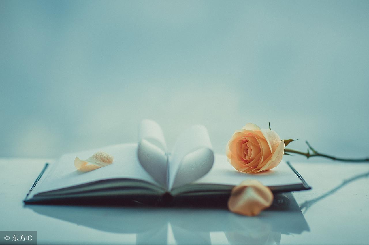 執愛成灰最新章節列表及內容概述