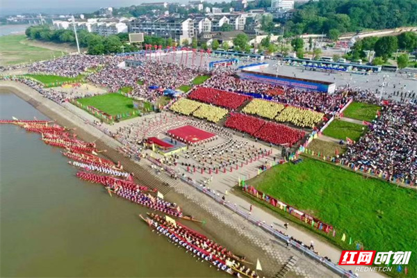 沅陵紅網10.31最新消息解讀指南,從初學者到進階用戶的全方位指南