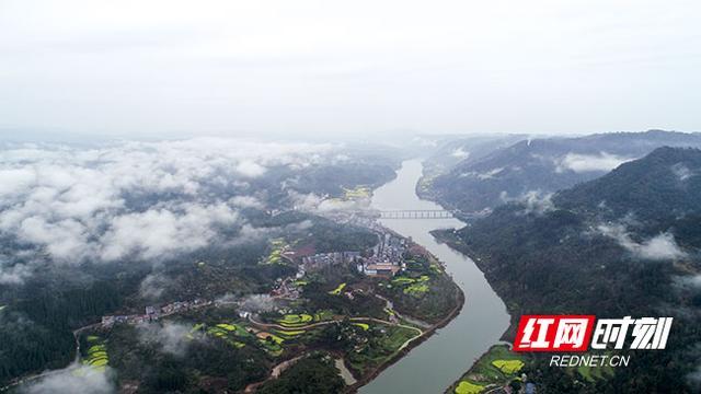 沅陵紅網10.31最新消息解讀指南,從初學者到進階用戶的全方位指南