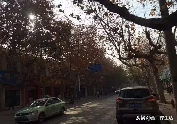 膠南西海岸規劃揭秘,溫馨之旅的規劃藍圖