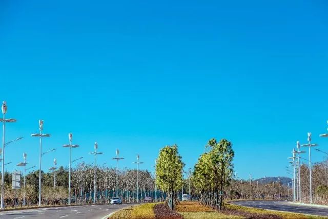 里光大道最新一期,科技之光照亮生活新篇章