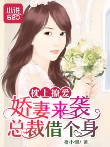 枕上撩妻有道，心動不已的浪漫之旅最新章節