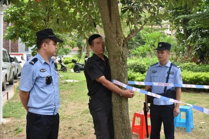 北海打傳辦最新動態及其影響分析，一種觀點的視角