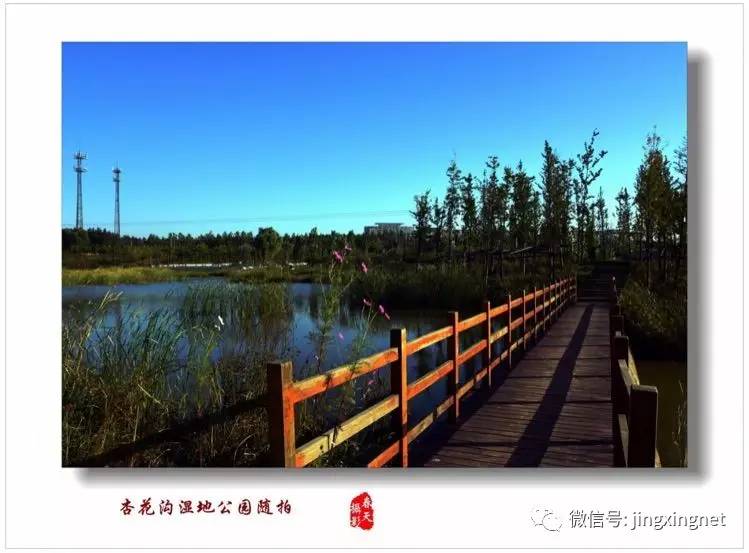 涼灣濕地公園奇妙一日游,最新消息揭秘探險之旅!