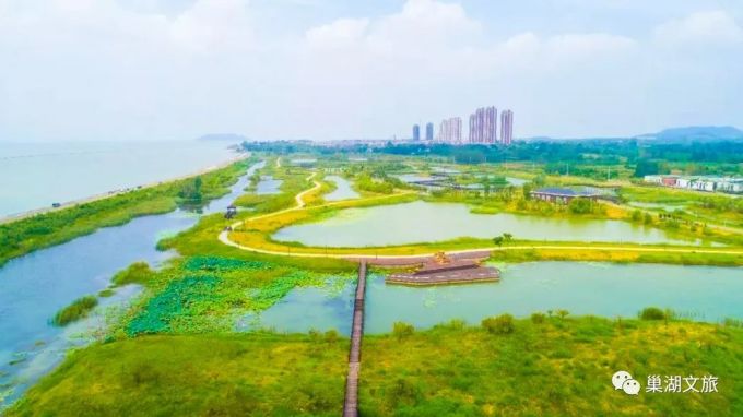 涼灣濕地公園奇妙一日游,最新消息揭秘探險之旅!