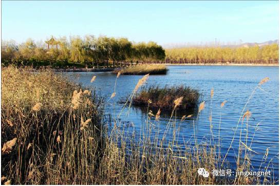 涼灣濕地公園奇妙一日游,最新消息揭秘探險之旅!
