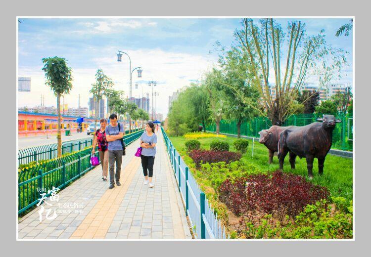 慶陽天富大廈最新動態更新,最新消息匯總