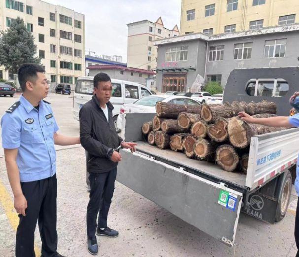 靖邊房屋出售最新消息速遞,最新房源動態與交易信息更新