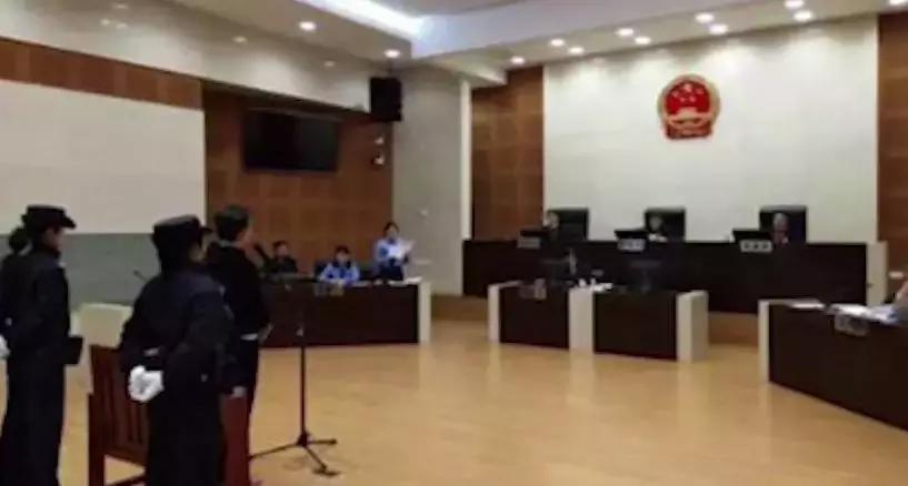 易乾財富最新消息劉丹,自然美景探索之旅揭秘