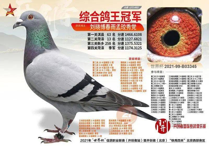 最新羅漢說(shuō)鴿119期視頻,揭秘小巷中的隱藏美食天堂