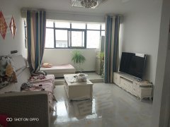 費縣清華園科技盛宴，最新動態揭示未來生活觸手可及