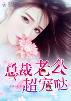 陸君霆安柔最新章節揭秘,情感糾葛與甜蜜揭曉的引人入勝故事