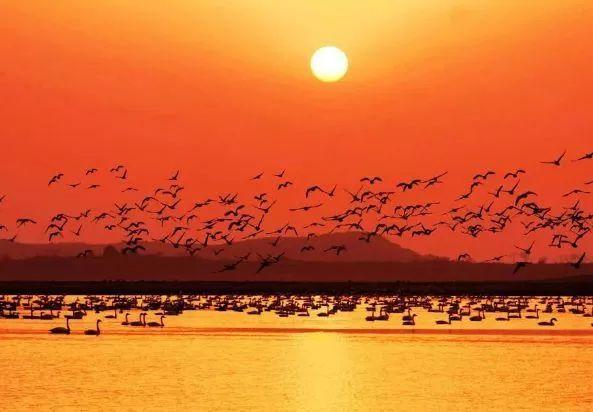 巢湖四海花園,科技智慧生活與房價新篇章開啟,最新房價信息一覽