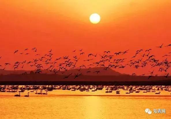 巢湖四海花園,科技智慧生活與房價新篇章開啟,最新房價信息一覽