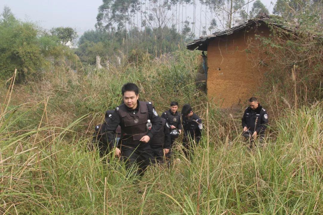 賓陽出租房最新動態,市場現狀分析與個人立場探討
