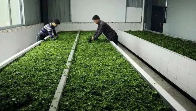 茶碾公路最新進展詳解，入門到精通的全方位指南