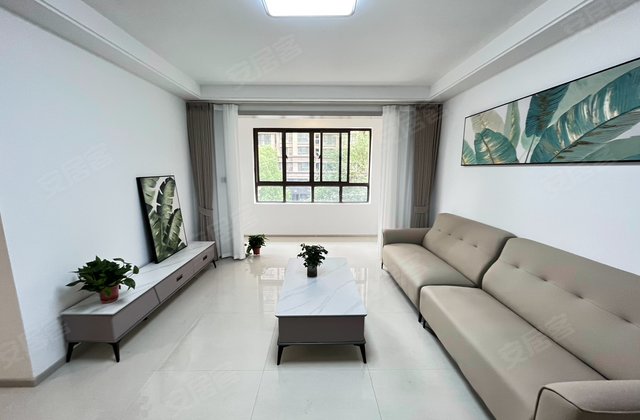 新沂最新二手房購買指南，從初學者到進階用戶的詳細步驟與選擇建議