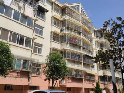 新沂最新二手房購買指南,從初學者到進階用戶的詳細步驟與選擇建議