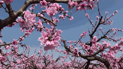 榆中縣新世界最新房價,夢想躍動的起點