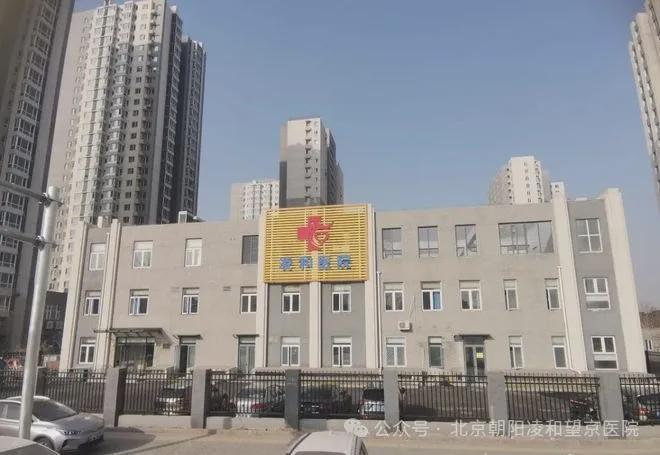 東壩福滿園,小巷特色小店的獨特魅力與最新消息揭秘