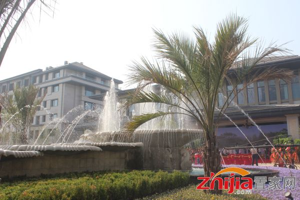 邯鄲陽光東尚最新消息揭秘,重磅更新??