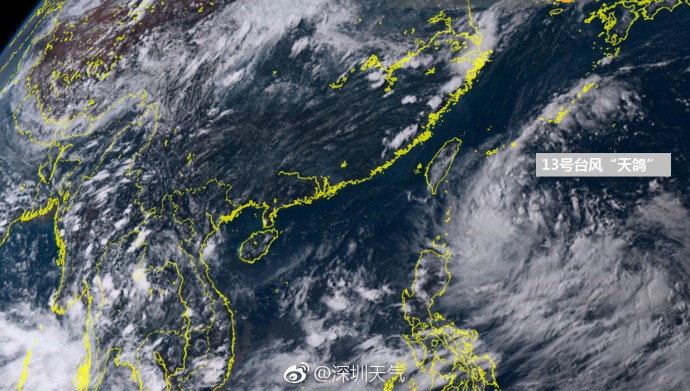 臺風天鴿來襲，深圳家中的溫馨日常趣事與最新應對消息