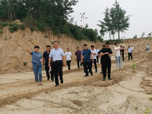 新鄭市城關(guān)鄉(xiāng)最新新聞速遞,鄉(xiāng)情動態(tài)與分享