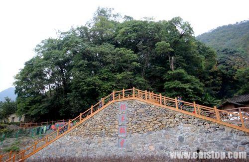 竹溪縣新洲鎮(zhèn)最新新聞?wù)撌龈庞[