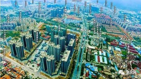 肇慶張小芹的最新勵志故事,自信與成就之光的蛻變旅程