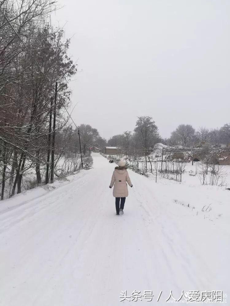 寧縣和盛鎮(zhèn)最新消息概覽,最新動(dòng)態(tài)與指南