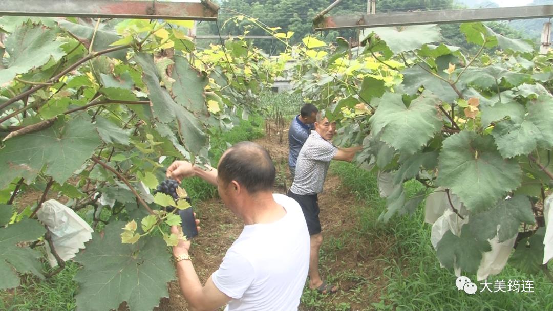 筠連巡司新聞最新動態更新