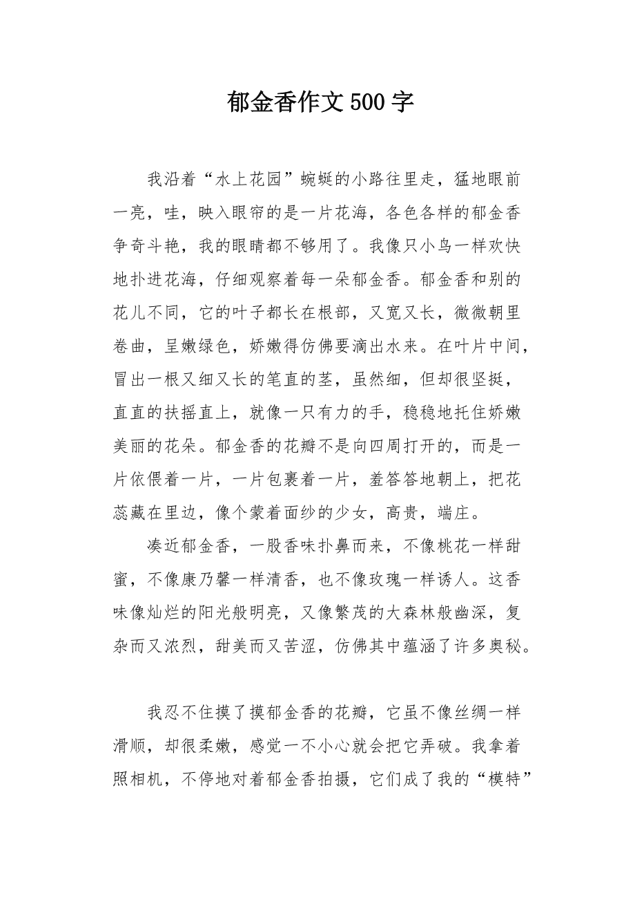 我的郁金香女友最新章節,情感與成長的交織旅程