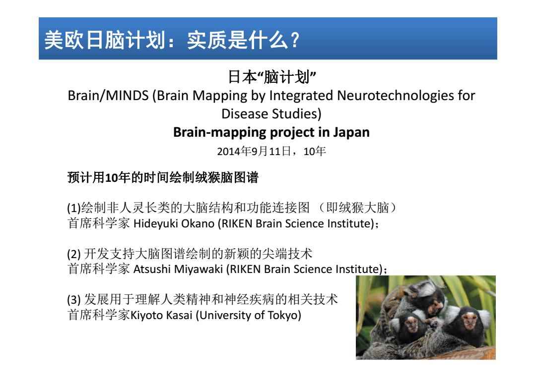 日本腦計劃最新進展揭秘,溫馨日常的新突破