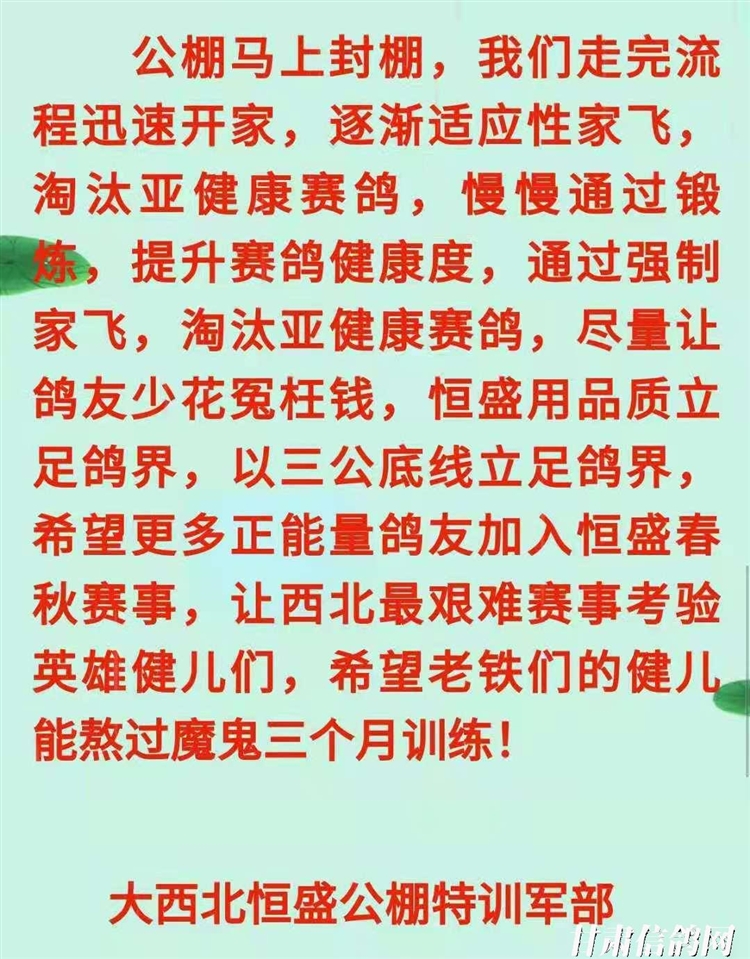 恒翔賽鴿公棚最新公告,展翅翱翔,共舞變化,自信筑夢未來!