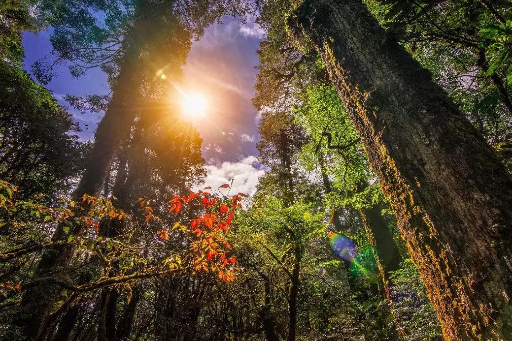 美的通下載最新版本揭秘,小巷中的隱藏瑰寶