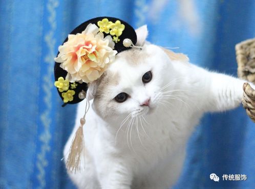 兔牙喵喵喵夢幻藝術之旅,最新作品展現獨特魅力