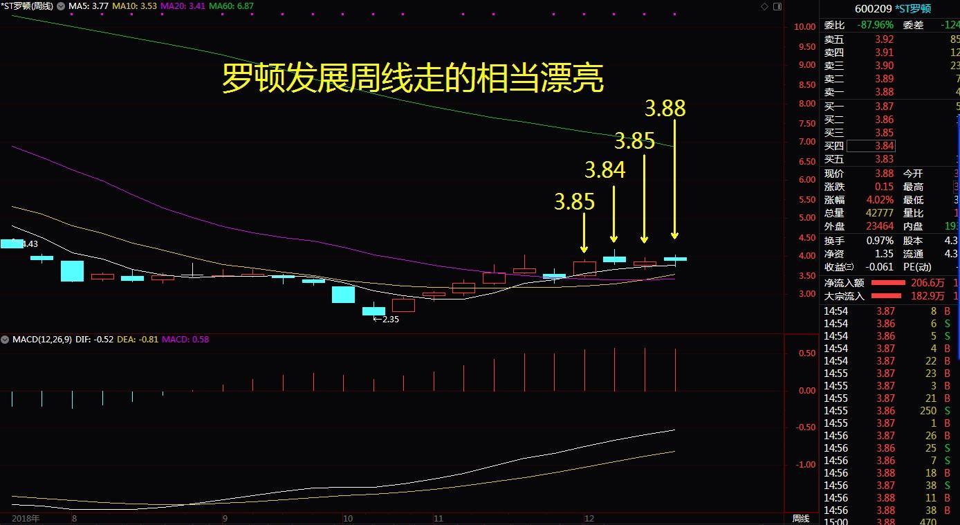 羅頓發展股票最新消息,科技新星重塑未來體驗之路
