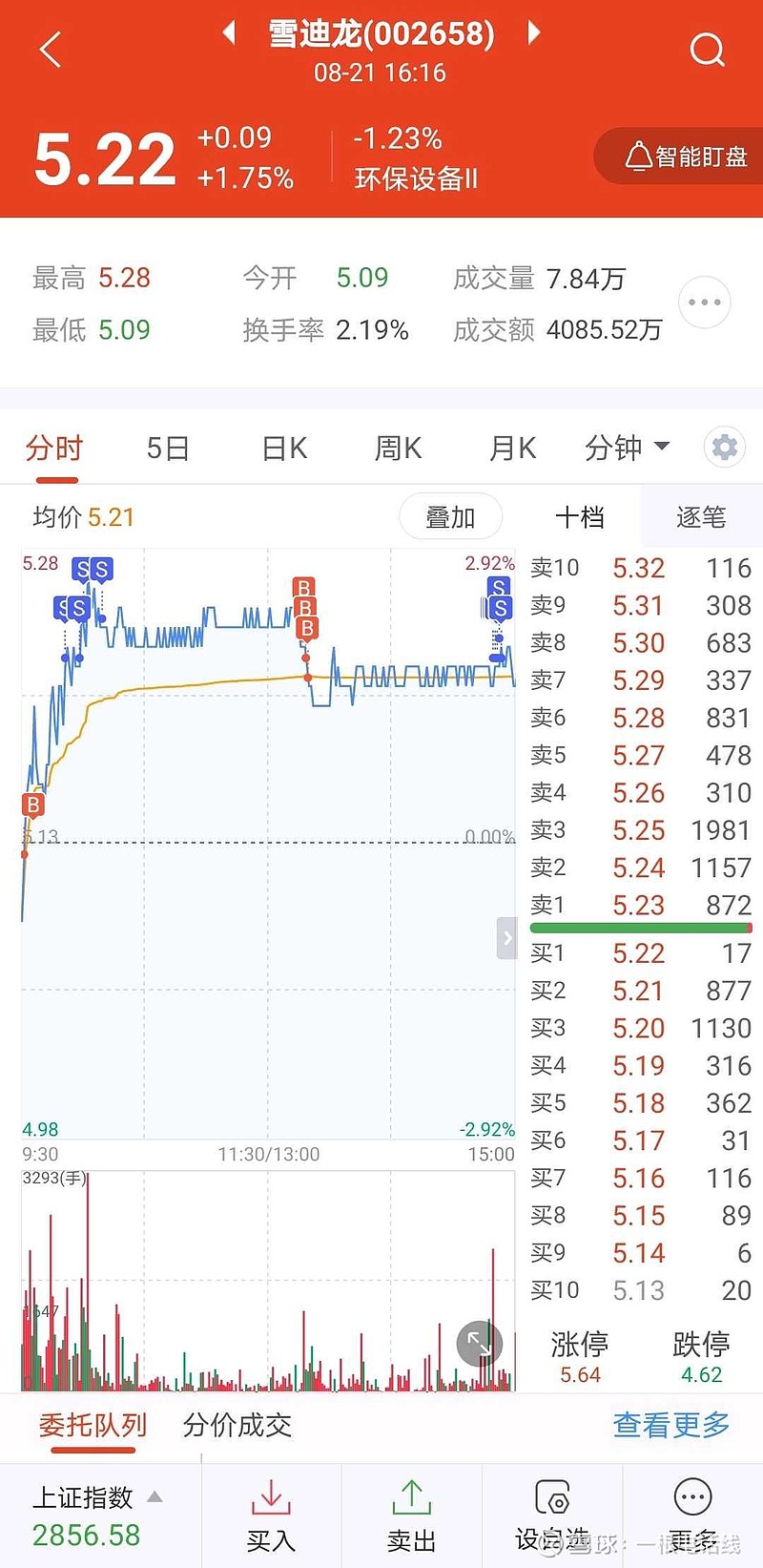 雪迪龍股票最新動態(tài),溫馨股市故事與最新消息揭秘