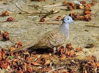 金屬?zèng)_壓模具的加工銷售 第12頁(yè)