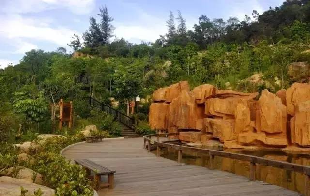 陽江森林公園最新動態(tài)更新,最新消息匯總