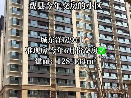 費縣秀水灣最新進展及觀點論述揭秘