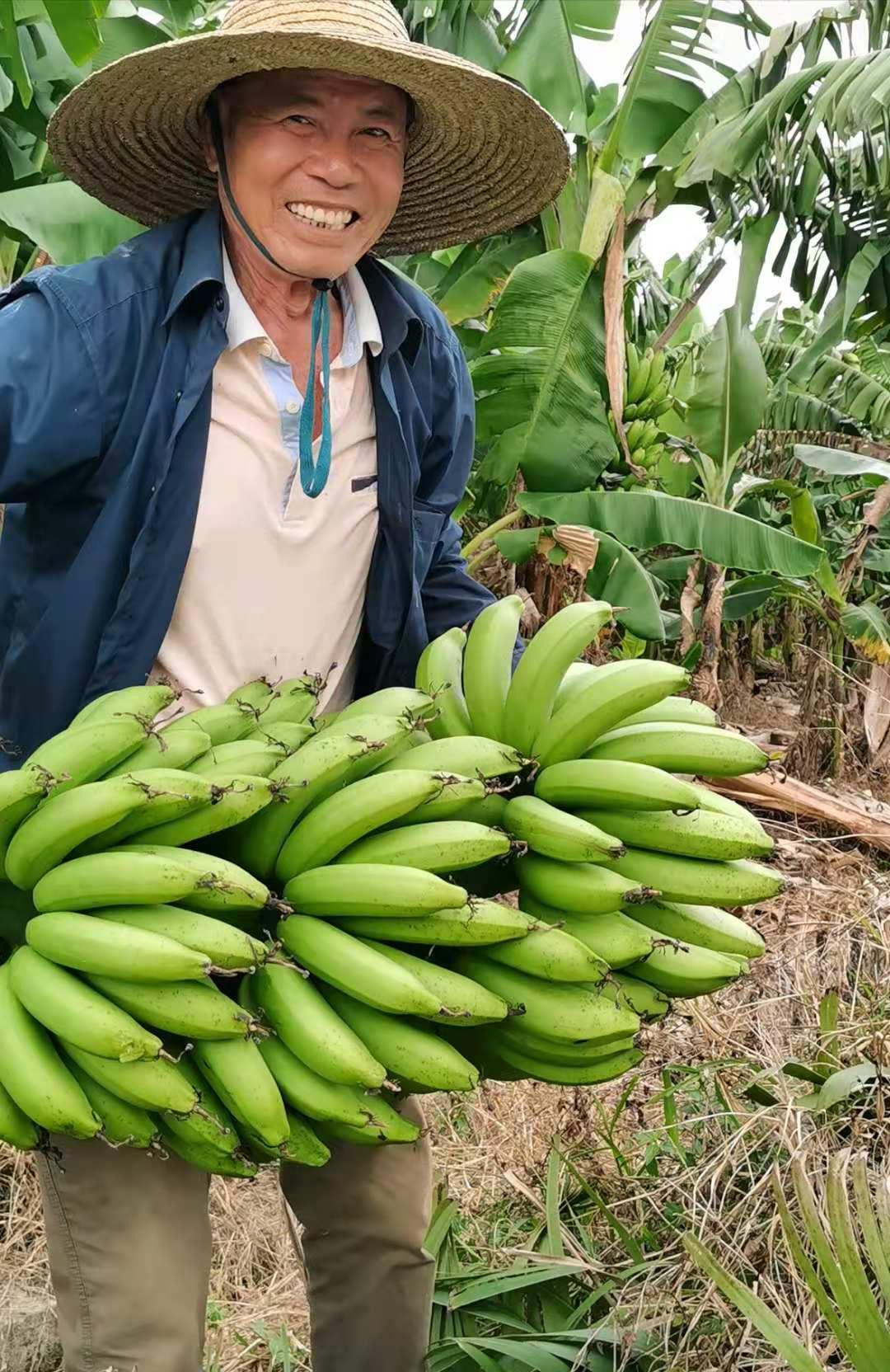 吳川新聞蘭石最新消息全解析,獲取指南助力初學者與進階用戶