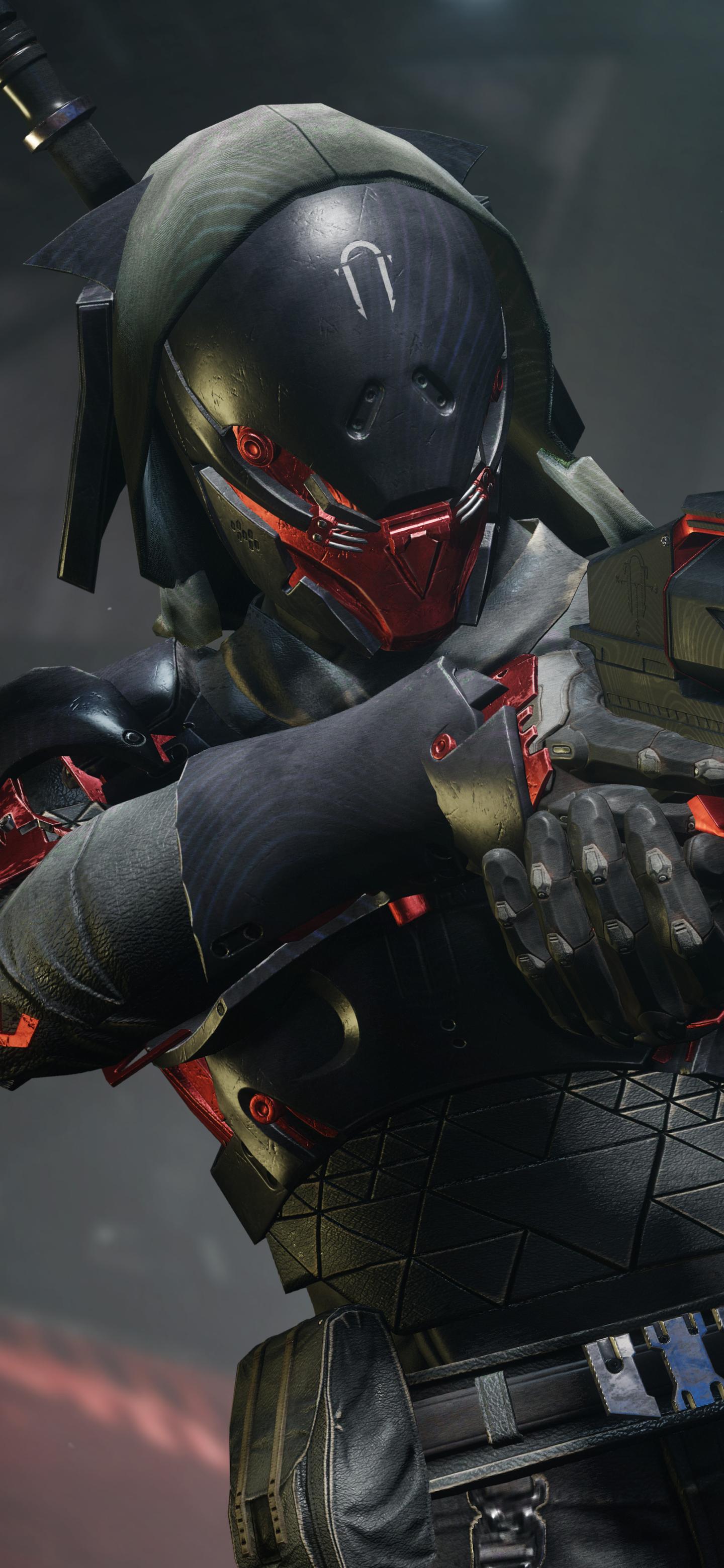 命運2國服最新動態,玩家熱切期待的更新與未來展望