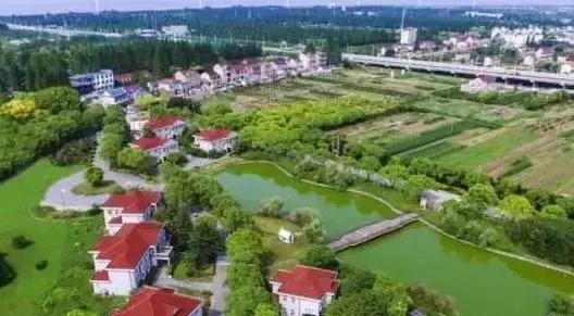 上海金山房價最新動態,科技重塑居住夢想,智能生活新紀元開啟