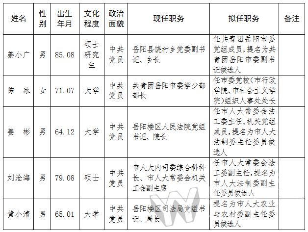 岳陽市組織部最新公示，蛻變的力量，激發自信與成就感之源