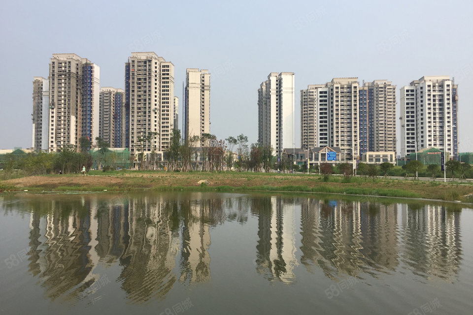 成都天府城邦最新動態,城市變遷中的共同成長之路