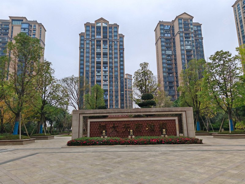 成都天府城邦最新動態,城市變遷中的共同成長之路