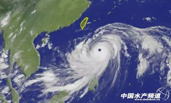 華南海域最新天氣預(yù)報更新