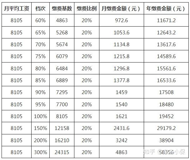社保長工資最新動態,深度分析與觀點闡述