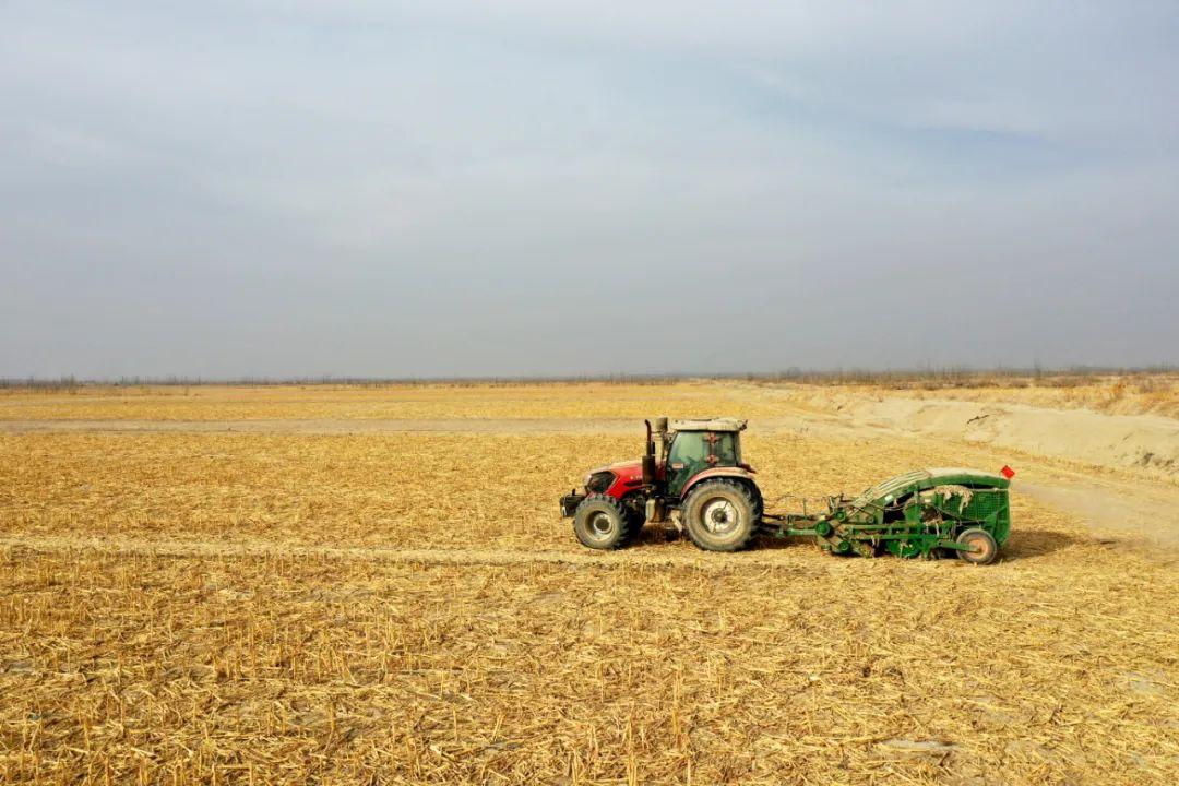??最新滴灌帶回收機助力農業可持續發展??高效循環利用滴灌帶資源